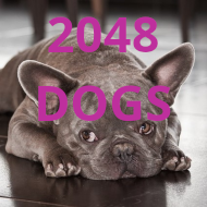 2048 Dogs